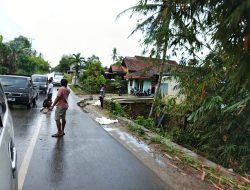 Jalan Amblas di Tanggamus Tak Kunjung Diperbaiki, Warga Sindir Pemerintah Hanya Sibuk Seremonial