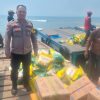 Mewakili Polsek Kalianda, Aipda Deni Meydistira dan Bulog Gelar Pasar Murah di Pulau Sebesi, Salurkan 8 Ton Beras SPHP