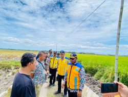 Kepala BBWS Tinjau Proyek Irigasi P3-TGAI Masyarakat Palas Aji ucapkan Terimakasih