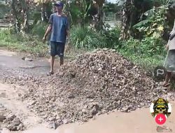 Tamparan untuk Bupati: Warga Kubur Jalan Rusak di Pesawaran