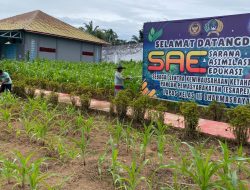 Lapas Kelas III Dharmasraya Perkuat Ketahanan Pangan Lewat Budidaya Jagung