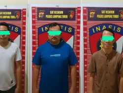 Mafia BBM Sribawono: Pengamat UGM Soroti Peran Sinaga dan Oknum Checker