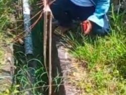 Limbah MBG Sebabkan Bau Menyengat, SPPG Bumi Daya Dinilai Abaikan Pengelola Mengaku Belum Punya Solusi