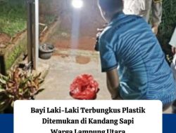 Polisi Selidiki Penemuan Bayi Tanpa Busana di Desa Bojong Barat, Lampung Utara