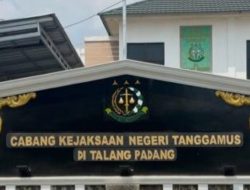 Kepala Pekon Gunung Tiga Tak Kembalikan Kerugian Negara, Kasus Naik ke Penyelidikan Kejaksaan