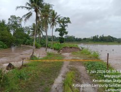 Tanggul Way Pisang Jebol, Petani Palas Aji Waswas Banjir Susulan