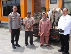 Sempat Syok hingga Pingsan, Korban Pencurian Sapi Terima Kembali Ternaknya