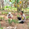 Bhabinkamtibmas Sambangi Petani, Perkuat Ketahanan Pangan Warga Pekon Banyumas
