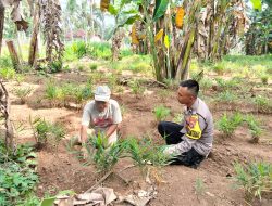 Bhabinkamtibmas Sambangi Petani, Perkuat Ketahanan Pangan Warga Pekon Banyumas