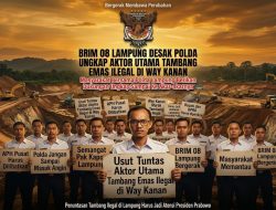BRIM 08 Lampung Dorong Mabes Polri dan Kejagung Dampingi Polda Ungkap Tambang Emas Ilegal di Way Kanan