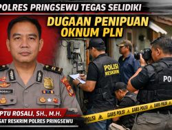 Oknum Rayon PLN Pringsewu Lakukan Penipuan, Korban Laporkan ke Polres