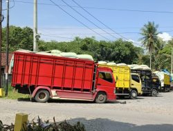 Bulog Tingkatkan Pelayanan Serapan Gabah Petani Jelang Idulfitri