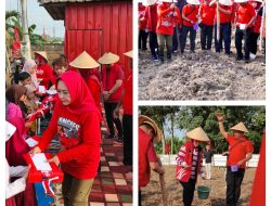 PDI-P Lampung Tanam Tanaman Pendamping Beras di Hari Kartini