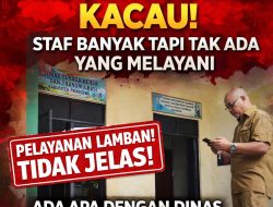 Disnaker Pringsewu Disorot, Pelayanan Pengurusan ID PMI Dinilai Lamban dan Tidak Efektif