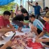 Mushola An-Nashr Perumahan Bumi Waras Pringsewu Potong Hewan Qurban