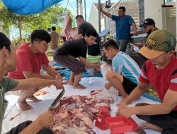 Mushola An-Nashr Perumahan Bumi Waras Pringsewu Potong Hewan Qurban