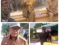 Warga Desa Rejomulyo Dan Bali Agung Tebar Lele , Tanam Pisang Protes Jalan Rusak di Palas