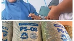 Gapoktan Bandan Hurip Kembalikan 8 Kuintal Benih PS-08,Camat Palas Bantah Paksaan Program Benih PS-08