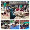 ‎Gema Takbir Idul Adha, Masjid Nurul Hikmah Sembelih 3 Sapi dan 1 Kambing
