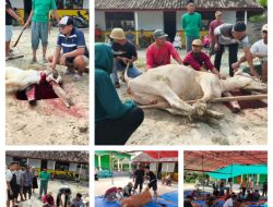 ‎Gema Takbir Idul Adha, Masjid Nurul Hikmah Sembelih 3 Sapi dan 1 Kambing
