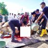 Pemkab Pringsewu Gelar Salat Idul Adha 1447 Hijriah & Potong Hewan Qurban Di Pagelaran Utara