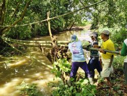 Tak kunjung juga di perbaiki oleh pemerintah  Empat Desa Gotong Royong Bangun Jembatan Bambu Darurat di Way Pisang