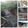 ‎Limbah Pabrik Tahu Diduga Cemari Sungai Sukamulya, Warga Minta Pemerintah Bertindak