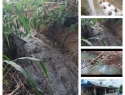 ‎Limbah Pabrik Tahu Diduga Cemari Sungai Sukamulya, Warga Minta Pemerintah Bertindak