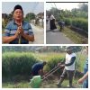 Desa Mekar Mulya Dukung Program Desa Helau, Target Masuk 40 Besar Tingkat Kabupaten