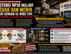 Sergab 55 Ribu Ton di Lampung Selatan Jadi Sorotan, Nilai Ekonomis Dedak dan Menir Miliaran Rupiah Terungkap