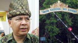 Alzier Mengutuk Keras Dugaan Kelalaian Kematian Gajah Indra, Minta Way Kambas Dievaluasi Total