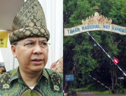 Alzier Mengutuk Keras Dugaan Kelalaian Kematian Gajah Indra, Minta Way Kambas Dievaluasi Total