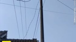 ‎Tiang Penyangga Listrik Patah di Sukaraja, Tim PLN Palas Bergerak Cepat Lakukan Perbaikan