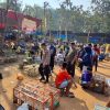 700 Penghobi Merpati Kolong Ramaikan Bhayangkara Cup di Pringsewu, Perebutkan Hadiah Rp50 Juta