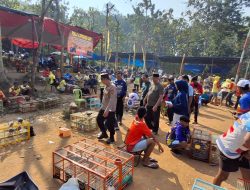 700 Penghobi Merpati Kolong Ramaikan Bhayangkara Cup di Pringsewu, Perebutkan Hadiah Rp50 Juta