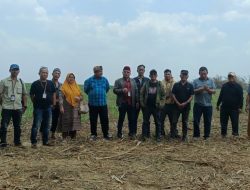 Kuasa Hukum dan Ahli Waris Agus Raja Lima Validasi Kepemilikan Lahan Yang di kuasi SGC.