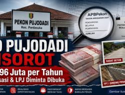 Kepala Pekon Buka Angka DD Pujodadi, Rp996 Juta per Tahun—Realisasi dan LPJ Kini Jadi Sorotan