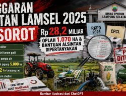 Kadis Bungkam, Anggaran Distan Lamsel Rp28,2 Miliar dan Bantuan Alsintan 2025 Dipertanyakan