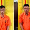 Kurang dari 24 Jam, Dua Residivis Curanmor Dibekuk usai Gasak Motor Petani di Pringsewu