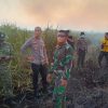 Setelah 3,5 Jam Berjibaku, Karhutla di Way Kambas Berhasil Dipadamkan