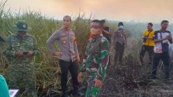 Setelah 3,5 Jam Berjibaku, Karhutla di Way Kambas Berhasil Dipadamkan