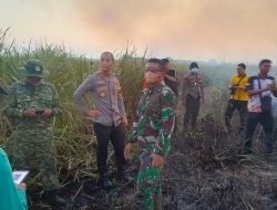Setelah 3,5 Jam Berjibaku, Karhutla di Way Kambas Berhasil Dipadamkan