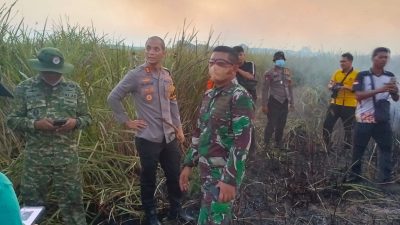 Setelah 3,5 Jam Berjibaku, Karhutla di Way Kambas Berhasil Dipadamkan
