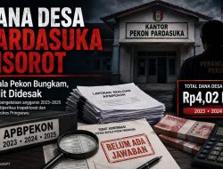 Dugaan Penyimpangan Dana Desa Pekon Pardasuka, Desakan Audit Menyeluruh Tak Bisa Ditunda