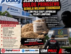 Jejak 30 Ribu Ton Sergap BULOG Pringsewu Disorot, LSM PALU Siap Lapor Kejati Lampung