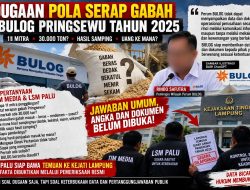 Sergap BULOG Pringsewu Dibongkar, PALU Minta Kejati Uji Dokumen