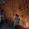 Api Kembali Muncul di Bukit Tambahrejo, Tim Gabungan Polres-TNI-BPBD Pringsewu Turun Tangan