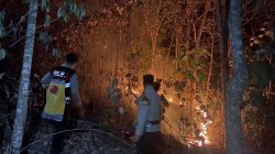 Api Kembali Muncul di Bukit Tambahrejo, Tim Gabungan Polres-TNI-BPBD Pringsewu Turun Tangan