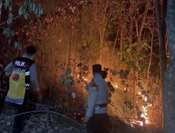 Api Kembali Muncul di Bukit Tambahrejo, Tim Gabungan Polres-TNI-BPBD Pringsewu Turun Tangan