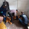 Sempat Merintih Sambil Pegang Dada, Pria di Pringsewu Ditemukan Tak Bernyawa